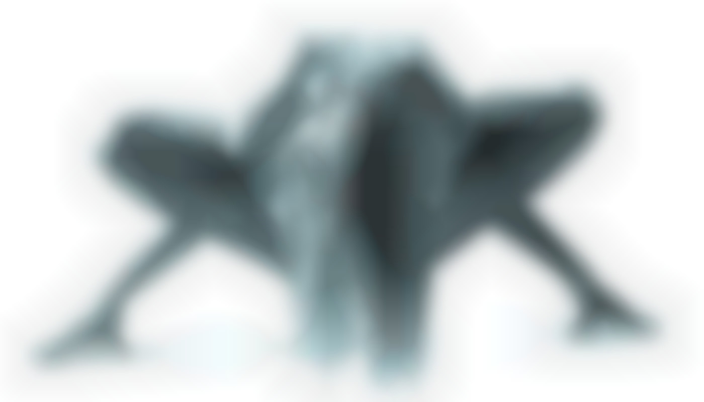 Que faut-il savoir de la fonction d’une escorte girl